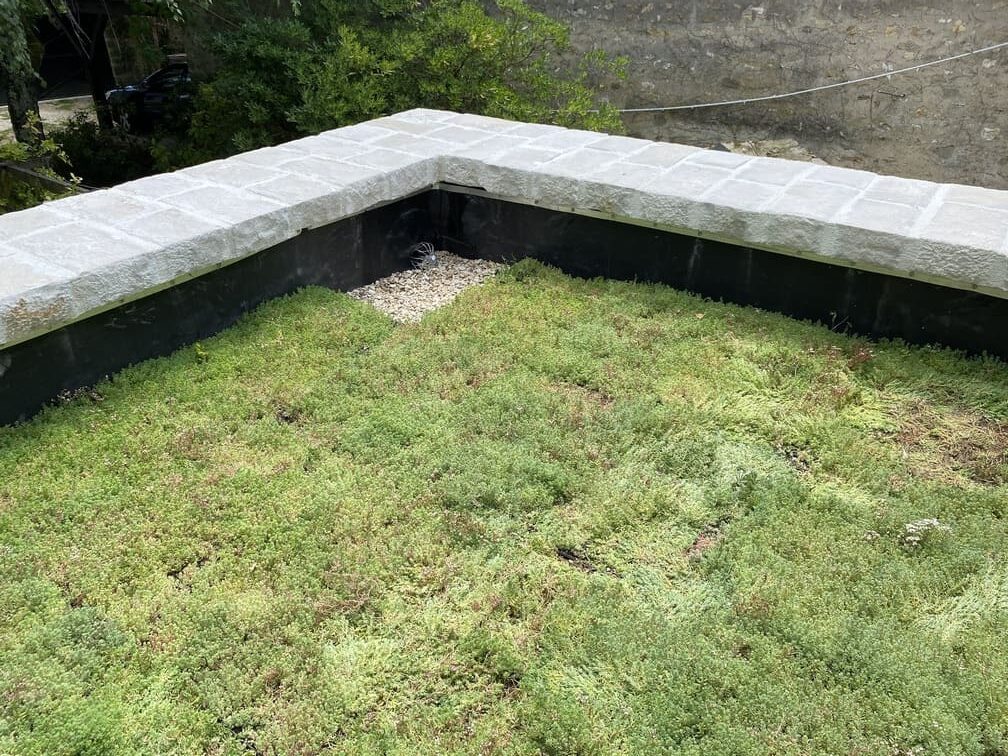 Terrasse végétalisée à Bois-le-Roi