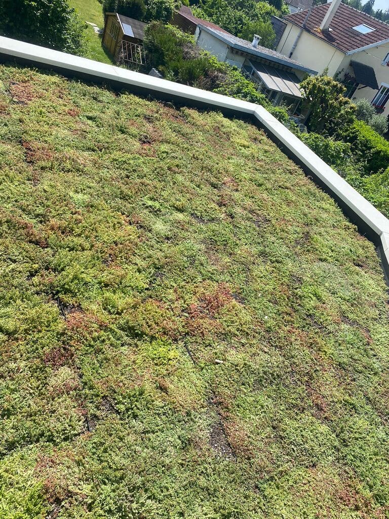 Toit-terrasse à Bois-le-Roi