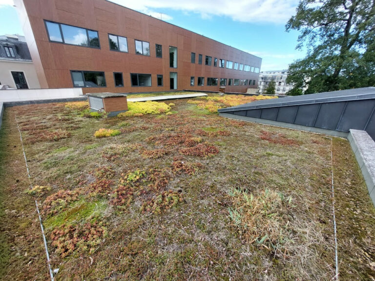 Toit-terrasse végétalisé à Combs-la-Ville